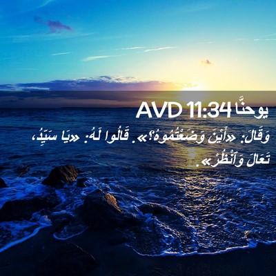 Picture 02 - يوحنَّا 11:34 AVD - وَقَالَ: «أَيْنَ - Bible Verse Picture
