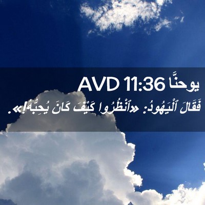 Picture 02 - يوحنَّا 11:36 AVD - فَقَالَ ٱلْيَهُودُ: - Bible Verse Picture