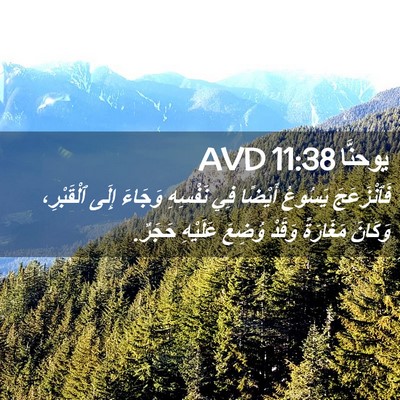 Picture 02 - يوحنَّا 11:38 AVD - فَٱنْزَعَجَ يَسُوعُ - Bible Verse Picture