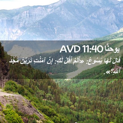 Picture 02 - يوحنَّا 11:40 AVD - قَالَ لَهَا يَسُوعُ: - Bible Verse Picture