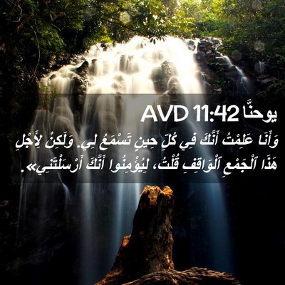 Picture 02 - يوحنَّا 11:42 AVD - وَأَنَا عَلِمْتُ أَنَّكَ - Bible Verse Picture