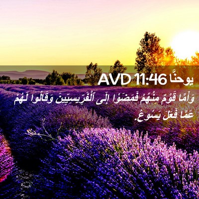 Picture 02 - يوحنَّا 11:46 AVD - وَأَمَّا قَوْمٌ مِنْهُمْ - Bible Verse Picture