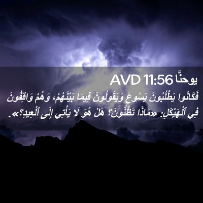 Picture 02 - يوحنَّا 11:56 AVD - فَكَانُوا يَطْلُبُونَ - Bible Verse Picture