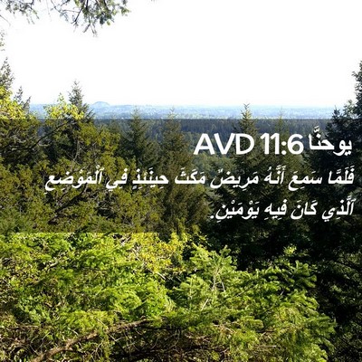 Picture 02 - يوحنَّا 11:6 AVD - فَلَمَّا سَمِعَ أَنَّهُ - Bible Verse Picture