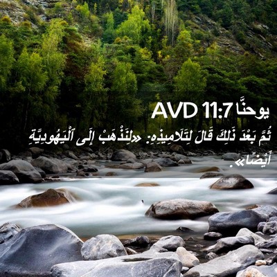 Picture 02 - يوحنَّا 11:7 AVD - ثُمَّ بَعْدَ ذَلِكَ قَالَ - Bible Verse Picture