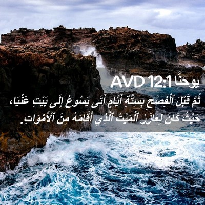 Picture 02 - يوحنَّا 12:1 AVD - ثُمَّ قَبْلَ ٱلْفِصْحِ - Bible Verse Picture