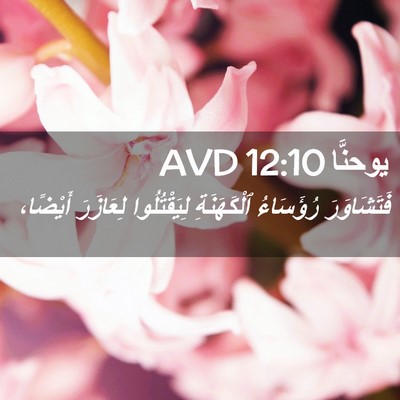 Picture 02 - يوحنَّا 12:10 AVD - فَتَشَاوَرَ رُؤَسَاءُ - Bible Verse Picture
