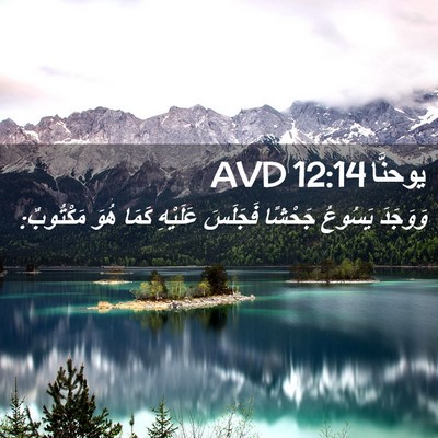 Picture 02 - يوحنَّا 12:14 AVD - وَوَجَدَ يَسُوعُ جَحْشًا - Bible Verse Picture