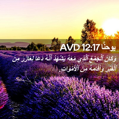 Picture 02 - يوحنَّا 12:17 AVD - وَكَانَ ٱلْجَمْعُ ٱلَّذِي - Bible Verse Picture