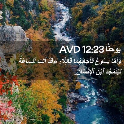 Picture 02 - يوحنَّا 12:23 AVD - وَأَمَّا يَسُوعُ - Bible Verse Picture