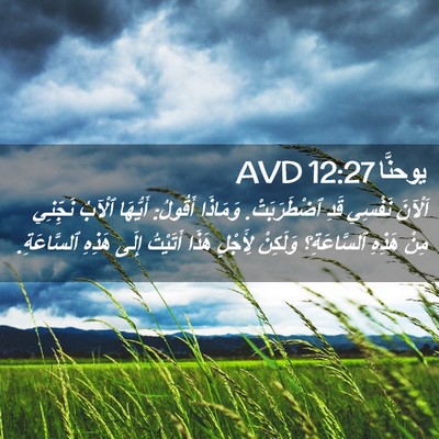 Picture 02 - يوحنَّا 12:27 AVD - اَلْآنَ نَفْسِي قَدِ - Bible Verse Picture