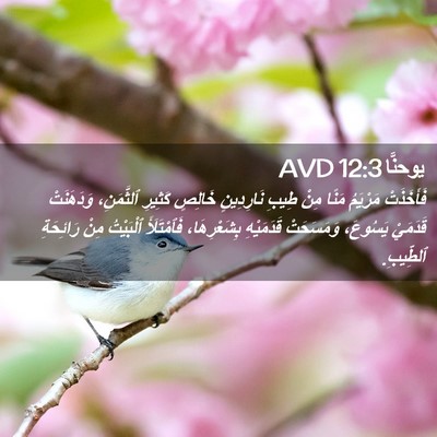 Picture 02 - يوحنَّا 12:3 AVD - فَأَخَذَتْ مَرْيَمُ مَنًا - Bible Verse Picture