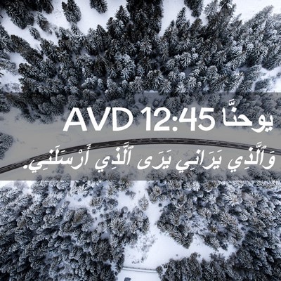 Picture 02 - يوحنَّا 12:45 AVD - وَٱلَّذِي يَرَانِي يَرَى - Bible Verse Picture
