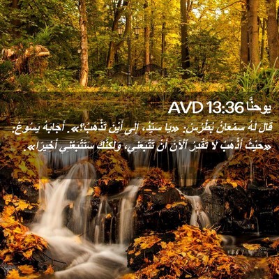 Picture 02 - يوحنَّا 13:36 AVD - قَالَ لَهُ سِمْعَانُ - Bible Verse Picture