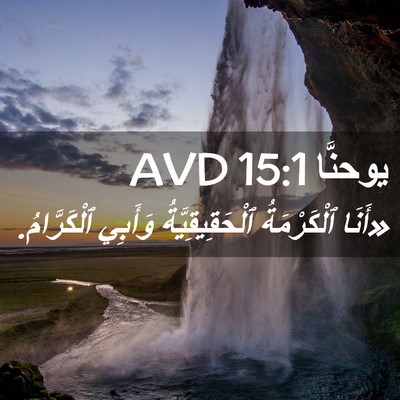 Picture 02 - يوحنَّا 15:1 AVD - «أَنَا ٱلْكَرْمَةُ - Bible Verse Picture