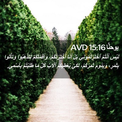Picture 02 - يوحنَّا 15:16 AVD - لَيْسَ أَنْتُمُ - Bible Verse Picture
