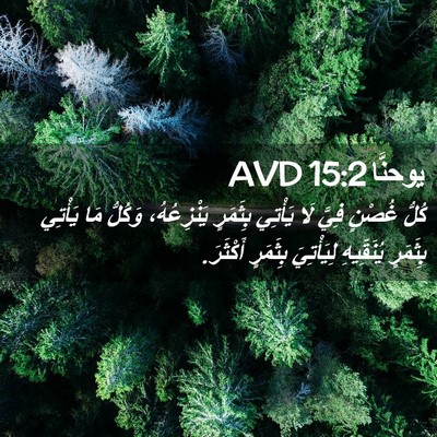 Picture 02 - يوحنَّا 15:2 AVD - كُلُّ غُصْنٍ فِيَّ لَا - Bible Verse Picture