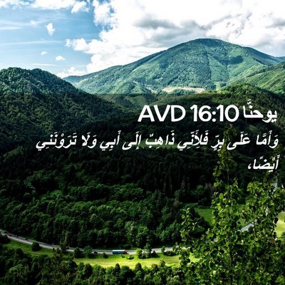Picture 02 - يوحنَّا 16:10 AVD - وَأَمَّا عَلَى بِرٍّ - Bible Verse Picture