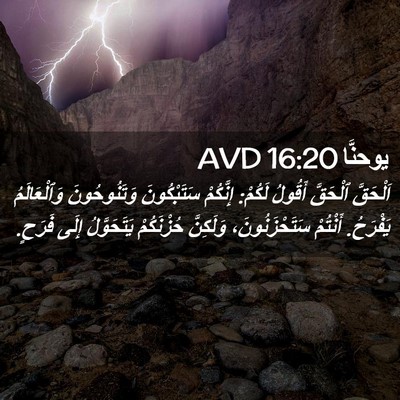 Picture 02 - يوحنَّا 16:20 AVD - اَلْحَقَّ ٱلْحَقَّ - Bible Verse Picture