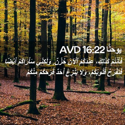 Picture 02 - يوحنَّا 16:22 AVD - فَأَنْتُمْ كَذَلِكَ، - Bible Verse Picture