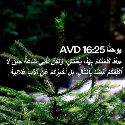 Picture 02 - يوحنَّا 16:25 AVD - «قَدْ كَلَّمْتُكُمْ - Bible Verse Picture