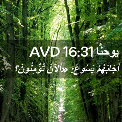 Picture 02 - يوحنَّا 16:31 AVD - أَجَابَهُمْ يَسُوعُ: - Bible Verse Picture