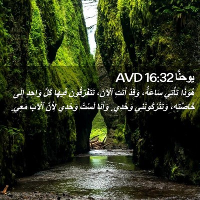 Picture 02 - يوحنَّا 16:32 AVD - هُوَذَا تَأْتِي سَاعَةٌ، - Bible Verse Picture