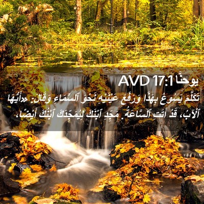 Picture 02 - يوحنَّا 17:1 AVD - تَكَلَّمَ يَسُوعُ بِهَذَا - Bible Verse Picture
