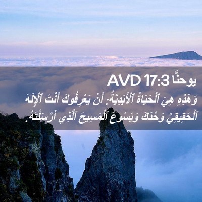 Picture 02 - يوحنَّا 17:3 AVD - وَهَذِهِ هِيَ ٱلْحَيَاةُ - Bible Verse Picture