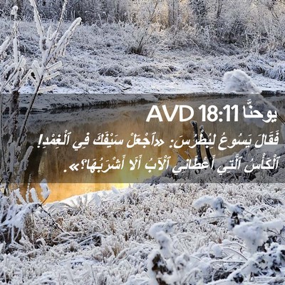 Picture 02 - يوحنَّا 18:11 AVD - فَقَالَ يَسُوعُ - Bible Verse Picture