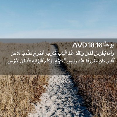 Picture 02 - يوحنَّا 18:16 AVD - وَأَمَّا بُطْرُسُ فَكَانَ - Bible Verse Picture
