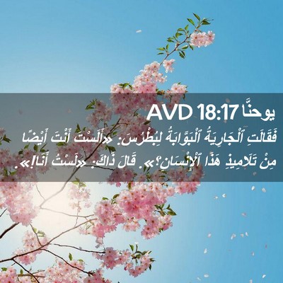 Picture 02 - يوحنَّا 18:17 AVD - فَقَالَتِ ٱلْجَارِيَةُ - Bible Verse Picture