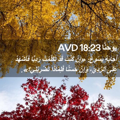 Picture 02 - يوحنَّا 18:23 AVD - أَجَابَهُ يَسُوعُ: «إِنْ - Bible Verse Picture