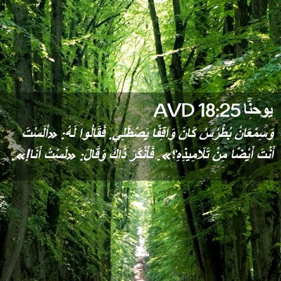 Picture 02 - يوحنَّا 18:25 AVD - وَسِمْعَانُ بُطْرُسُ - Bible Verse Picture