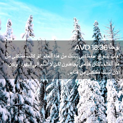 Picture 02 - يوحنَّا 18:36 AVD - أَجَابَ يَسُوعُ: - Bible Verse Picture