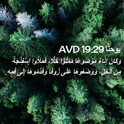 Picture 02 - يوحنَّا 19:29 AVD - وَكَانَ إِنَاءٌ - Bible Verse Picture