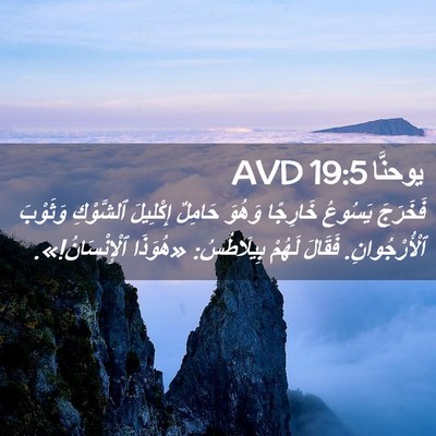 Picture 02 - يوحنَّا 19:5 AVD - فَخَرَجَ يَسُوعُ خَارِجًا - Bible Verse Picture