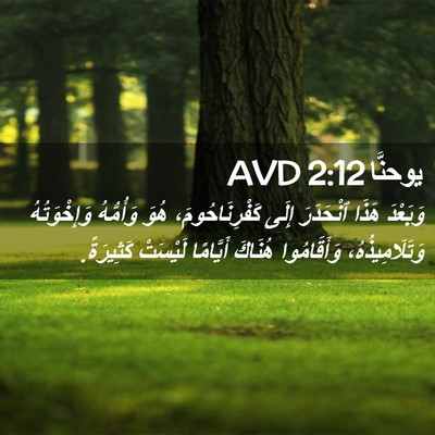 Picture 02 - يوحنَّا 2:12 AVD - وَبَعْدَ هَذَا ٱنْحَدَرَ - Bible Verse Picture