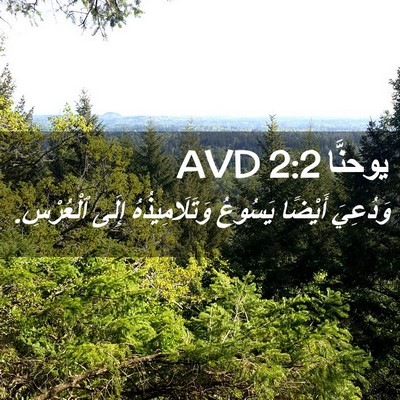 Picture 02 - يوحنَّا 2:2 AVD - وَدُعِيَ أَيْضًا يَسُوعُ - Bible Verse Picture