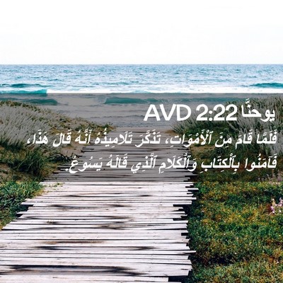 Picture 02 - يوحنَّا 2:22 AVD - فَلَمَّا قَامَ مِنَ - Bible Verse Picture