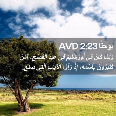 Picture 02 - يوحنَّا 2:23 AVD - وَلَمَّا كَانَ فِي - Bible Verse Picture
