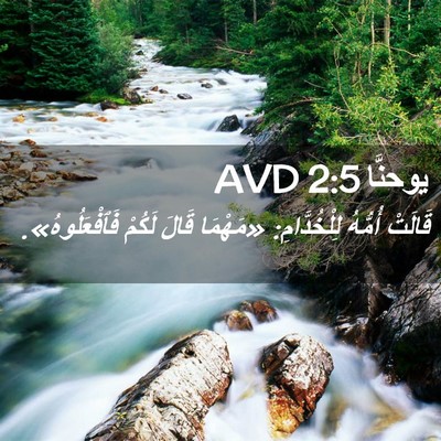Picture 02 - يوحنَّا 2:5 AVD - قَالَتْ أُمُّهُ - Bible Verse Picture