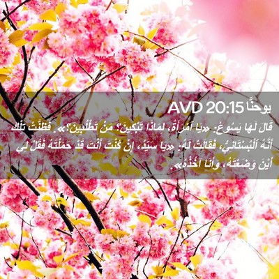 Picture 02 - يوحنَّا 20:15 AVD - قَالَ لَهَا يَسُوعُ: «يَا - Bible Verse Picture