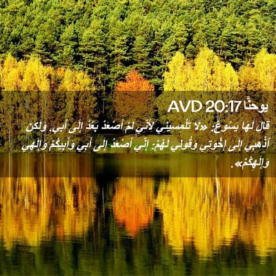 Picture 02 - يوحنَّا 20:17 AVD - قَالَ لَهَا يَسُوعُ: «لَا - Bible Verse Picture