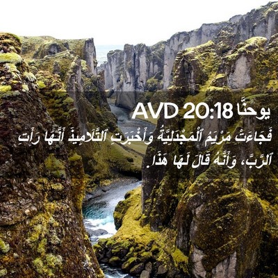 Picture 02 - يوحنَّا 20:18 AVD - فَجَاءَتْ مَرْيَمُ - Bible Verse Picture