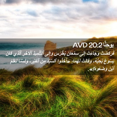 Picture 02 - يوحنَّا 20:2 AVD - فَرَكَضَتْ وَجَاءَتْ - Bible Verse Picture