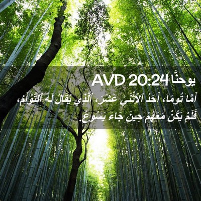 Picture 02 - يوحنَّا 20:24 AVD - أَمَّا تُومَا، أَحَدُ - Bible Verse Picture