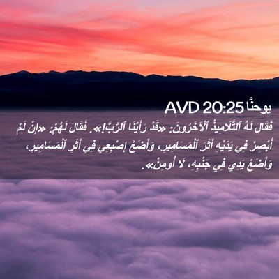 Picture 02 - يوحنَّا 20:25 AVD - فَقَالَ لَهُ - Bible Verse Picture