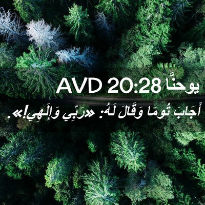 Picture 02 - يوحنَّا 20:28 AVD - أَجَابَ تُومَا وَقَالَ - Bible Verse Picture