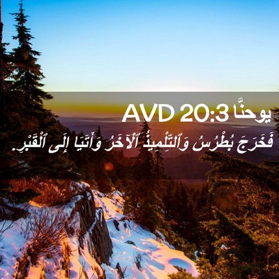 Picture 02 - يوحنَّا 20:3 AVD - فَخَرَجَ بُطْرُسُ - Bible Verse Picture